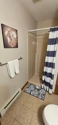 a bathroom with a shower with a zebra shower curtain at Cozy Retreat in Scenic Poconos in Tobyhanna