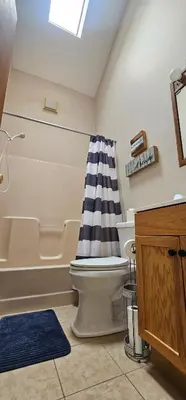 a bathroom with a toilet and a shower and a sink at Cozy Retreat in Scenic Poconos in Tobyhanna