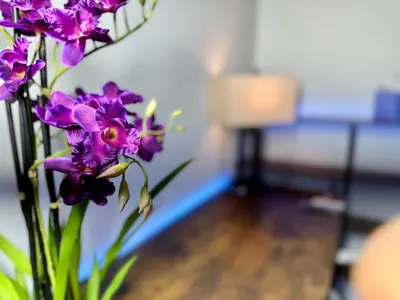 a vase filled with purple flowers on a table at BP STAYS - Hotel-Style, No Host, Professionally Managed ID265 in Jersey City