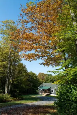 a house in the middle of a forest of trees at Stylish Catskills Escape Near Town & Trails in Livingston Manor