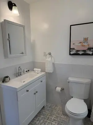 a white bathroom with a toilet and a sink at Sunset Slopes in Jersey City