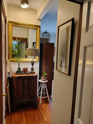 a hallway with a mirror and a table with potted plants at Cozy apartment in Brooklyn