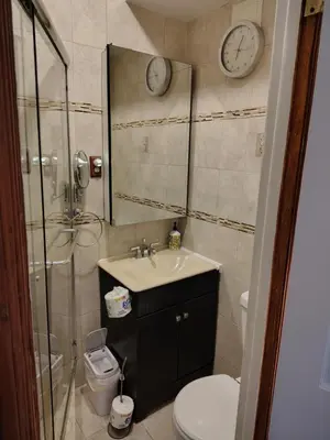 a bathroom with a sink and a shower and a toilet at Cozy apartment in Brooklyn