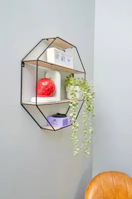 a glass shelf hanging on a wall with a plant at Sky Walk at The Hillside in Newark