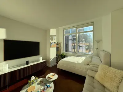 a living room with a couch and a flat screen tv at Entire luxury apt midtown with pool, gym, and sauna in New York