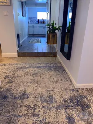 a hallway with a mirror and a potted plant at Philly Stay by TJ in Philadelphia