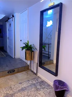 a mirror and a potted plant in a room at Philly Stay by TJ in Philadelphia