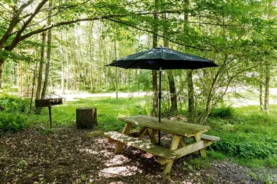 a picnic table with an umbrella on top of it at Incredible Spacious Dome for A Group Glamping Experience Surrounded by Nature in Woodridge, New York in Woodridge