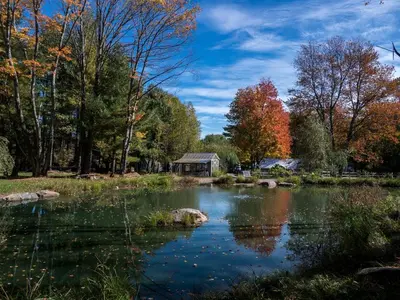 a pond in the middle of a park with trees at Cozy Unique Dome for a Romantic Glamping Getaway on a Private Farm in Woodridge, New York in Woodridge