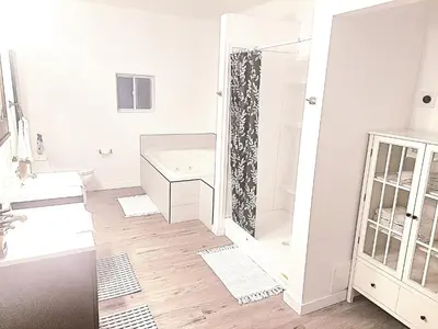 a bathroom with a shower and a sink at Cozy Guesthouse in Catasauqua