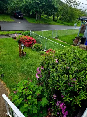 a garden with pink flowers and a white bench at NEW 