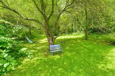 a bench sitting under a tree in a park at Hike and Fish Delaware River Cabin with Views in East Branch