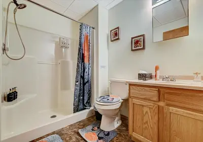 a bathroom with a toilet and a shower and a sink at Lakefront Kayaks, HotTub FirePit Sauna Pool in East Stroudsburg