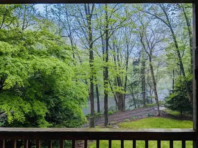 a view from a window of a park with trees at Hidden River Lodge at Hawk Mountain
