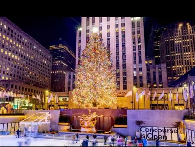 a christmas tree in the middle of a city at night at Modern 3BR Near EWR, Parking, 25 Min NYC in Kearny