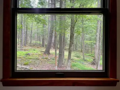 a window with a view of a forest at Fire Pit Woodsy & Private - Cabin on Woods Road in Yulan