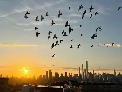 a flock of birds flying in the sky over a city at New York Skyline One of a Kind View in Union City