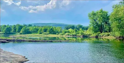 a body of water with trees in the background at Charming Milford Montague Riverway Cottage in Montague