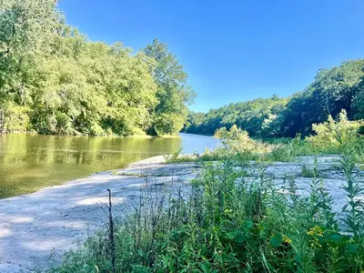 a river with trees on the side of it at Charming Milford Montague Riverway Cottage in Montague