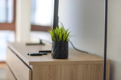 a potted plant sitting on top of a desk at Hudson River waterfront apt w sweeping NYC views in Hoboken