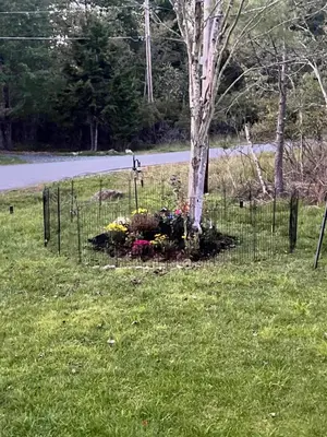 a fence around a tree with flowers in the grass at Golden Deer Lodge in Tobyhanna
