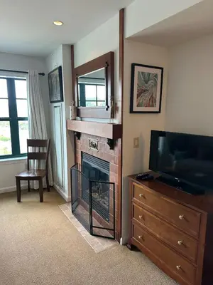 a living room with a fireplace and a television at Cozy Studio Resort Stay Mountain Creek Pool Hiking in Vernon Township
