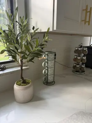 a potted plant sitting on a counter in a kitchen at NY City View West Orange Villa 5 bedroom in West Orange