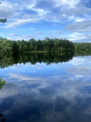 a view of a lake with trees in the background at The Lakefront Pocono Escape in Pocono Summit