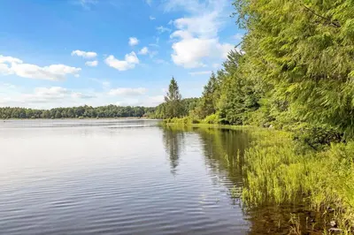 a view of a lake with trees on the shore at The Lakefront Pocono Escape in Pocono Summit