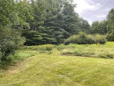 a field of grass with trees in the background at Cozy Winter Chalet on 5 Acres - Fire Pit & Views in Livingston Manor