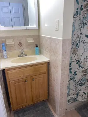 a bathroom with a sink and a shower curtain at Cozy 2 Bedrooms 1and half Bathrooms Near Prudential with Parking Entire Apartment in Newark