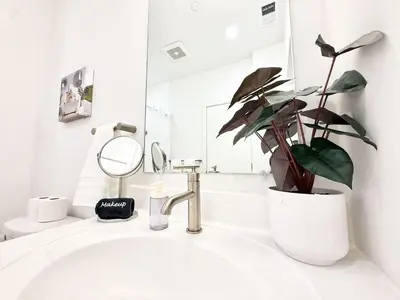 a bathroom sink with a potted plant and a mirror at Chic 1BR Old City Apt with King Bed, City View, and Gym in Philadelphia