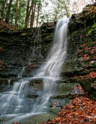 a waterfall on the side of a hill with leaves at Relaxing, Spacious Private Room near Binghamton in Johnson City