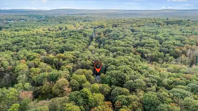 a hot air balloon flying over a forest of trees at Pocono Lake Getaway Sauna Hot Tub Playground in Wagners Forest Park
