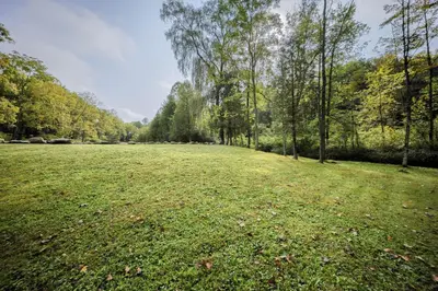 a large grass field with trees in the background at Willow Brook Getaway Hot Tub, Deck in Mifflinburg in Mifflinburg