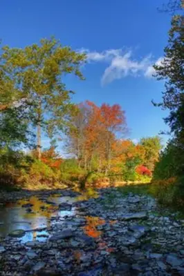 a painting of a river with trees in the background at Fanciful, Comfy Private Room - Lourdes Hospital in Johnson City