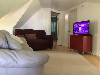a living room with a couch and a flat screen tv at Lovely PR near Lourdes Hospital by Binghamton in Johnson City