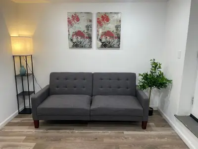 a couch in a living room with two pictures on the wall at 1711 Edgley Street in Philadelphia