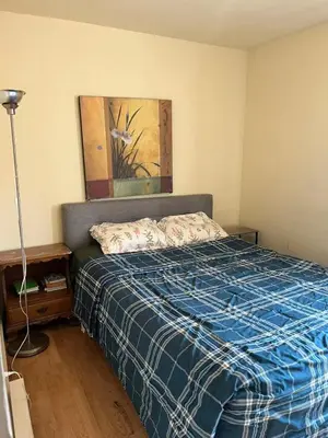 a bedroom with a bed with a blue plaid blanket at 2131 queen room With shared Bathroom in Philadelphia