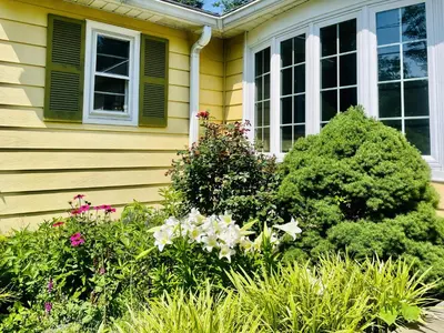 a garden of flowers in front of a house at Private Estate, walk to Princeton downtown, 3 Bedrooms, 2 Bath, with Free Parking in Princeton