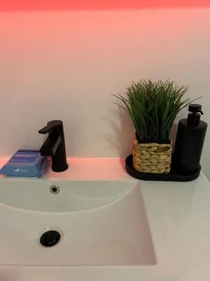 a bathroom sink with a faucet and a plant on it at Luxury Queen Studio- Minutes To NYC, EWR & MetLife in Elizabeth