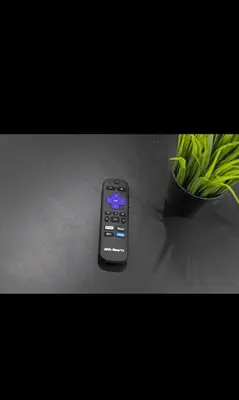 a remote control sitting on a table next to a plant at Modern 2 bedroom 1 bath unit 2 Near Airport, Xfinity Arena and Eagles Stadium in Philadelphia