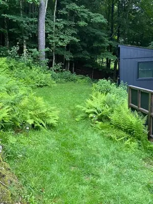 a field of grass with a fence and trees at Fireplace Catskill Views Overlook Lake Cabin in Parksville