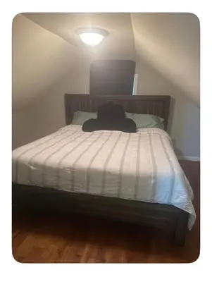 a bed with a black cat laying on top of it at Jersey Oasis in Hazelton