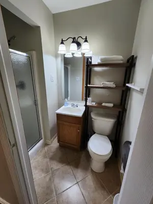 a bathroom with a toilet and a sink and a shower at Dunnstown Lodge in Lock Haven