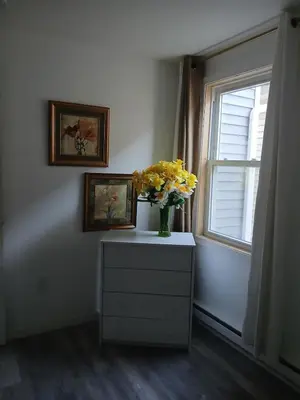 a vase of yellow flowers on a dresser next to a window at Labelle in Wilkes-Barre