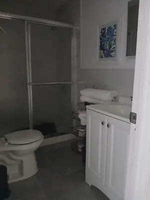 a bathroom with a toilet and a shower and a sink at Labelle in Wilkes-Barre