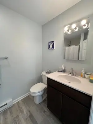a bathroom with a toilet and a sink and a mirror at Chalet Montelago in The Hideout in Lake Ariel