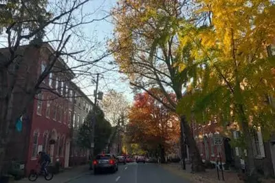 a person riding a bike down a street with trees at THE CONESTOGA HOUSE - THEATER & BUSINESS DISTRICT in Lancaster