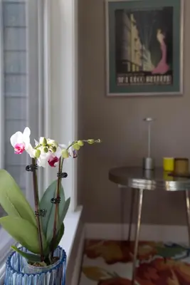 a blue vase with a plant in it next to a table at An Locha B&B